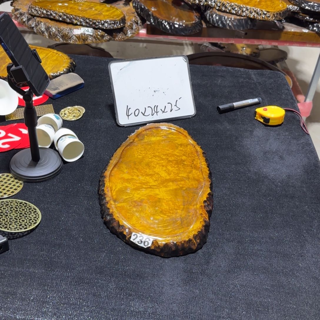 楠木黄金樟干泡长40宽24厚2.5