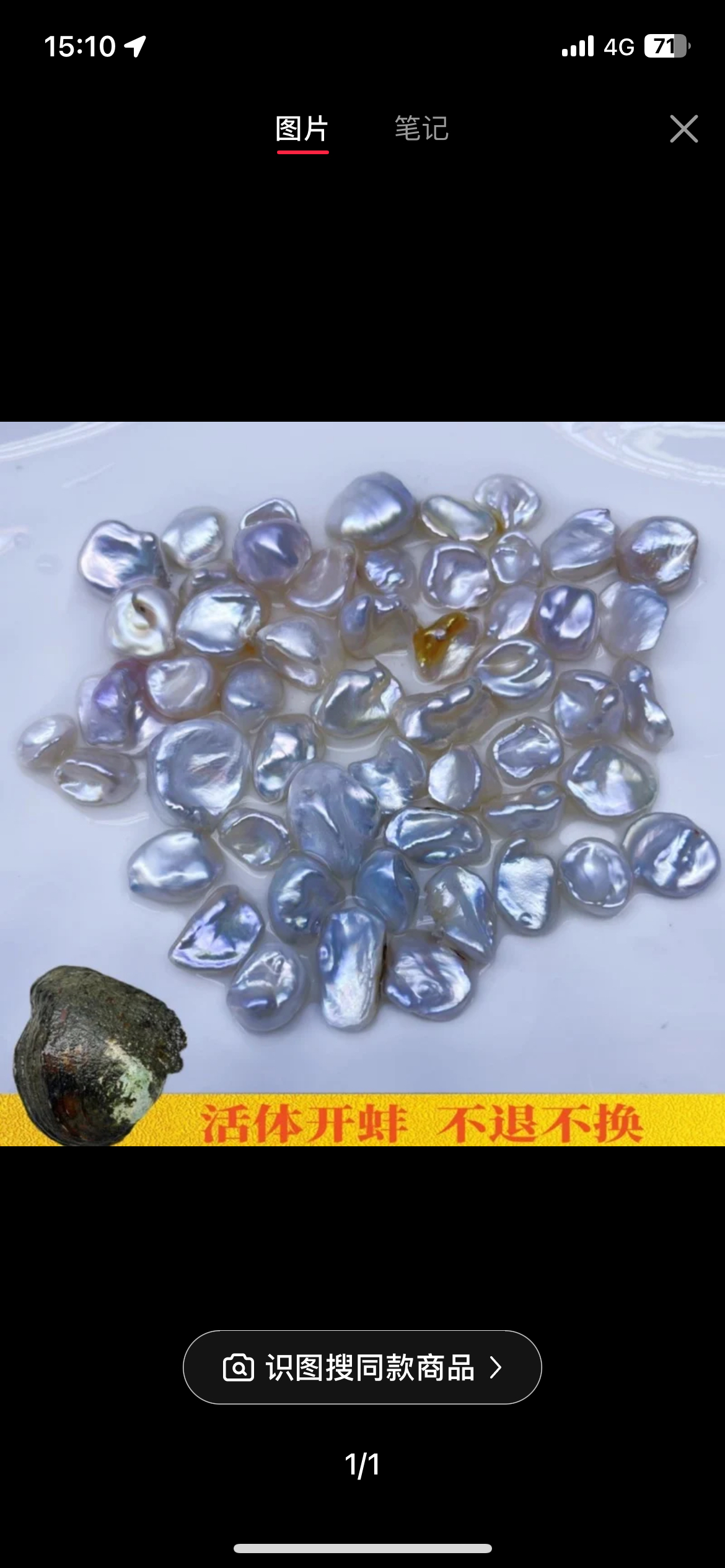 仙女碎银子开1个 可diy定制