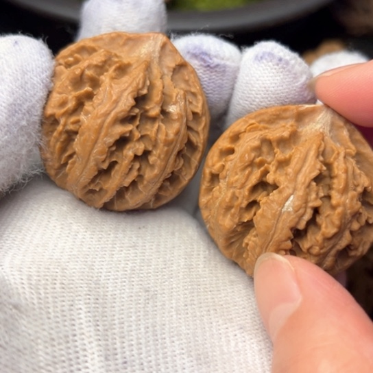 加***菜把件文玩核桃秦岭核桃5