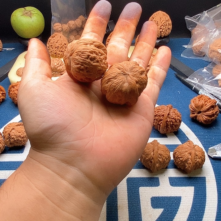 龙脊菩提吊坠元宝41.5全品