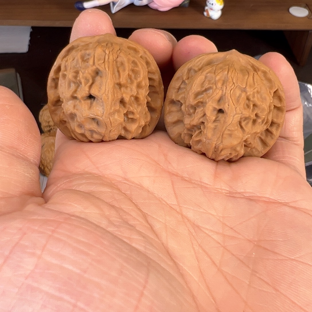 文玩核桃把件野狼37+