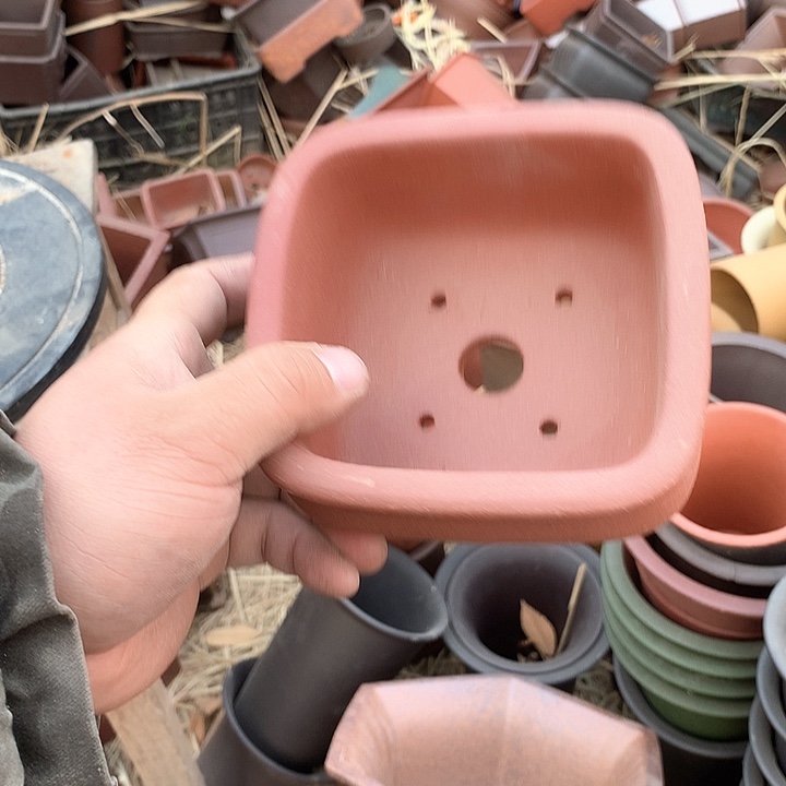 紫砂没有你喜欢吃辣不