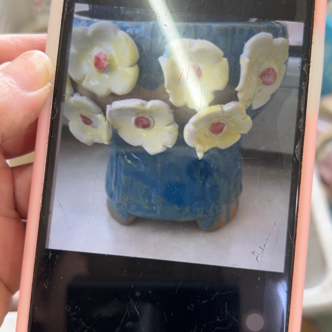 花盆拍满20元发货退款拉黑