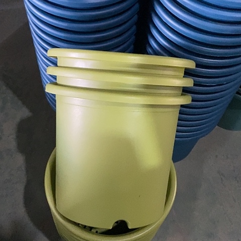 树脂特价6号7个无托果绿