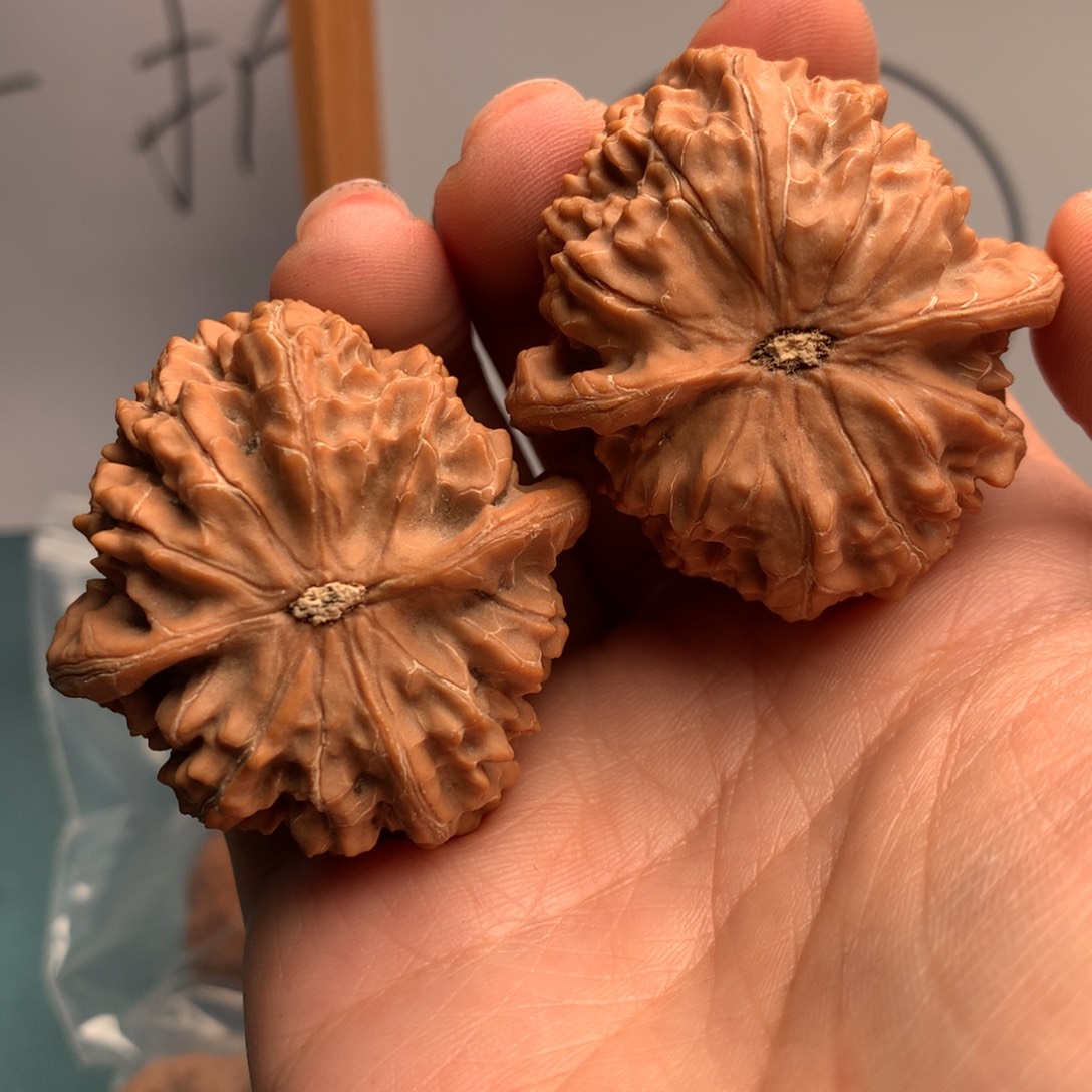 临***韵金麒麟45月中旬就会开始