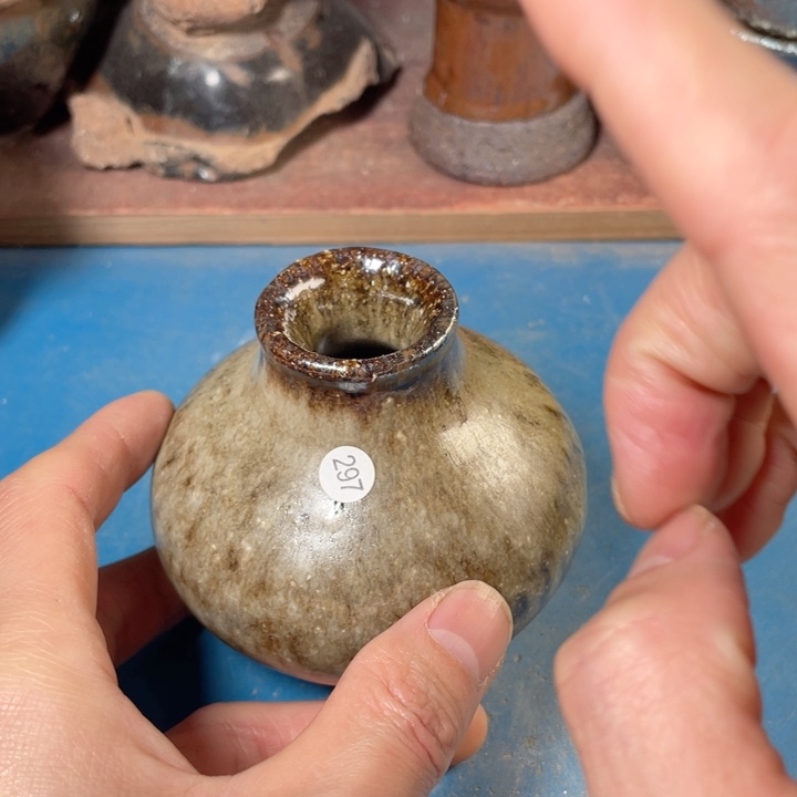 茶宠盏盏灯都是我的爱啊