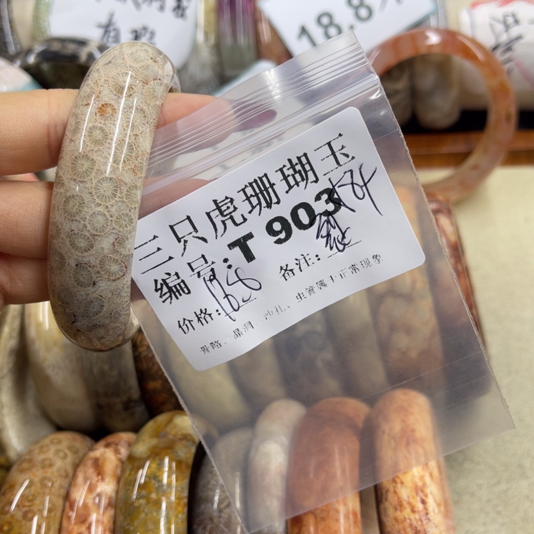 开***天硅化珊瑚（珊瑚玉）未镶嵌h