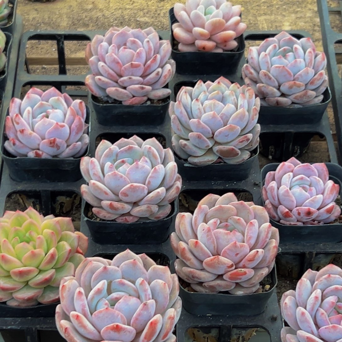 845大热天的一天从早上开始