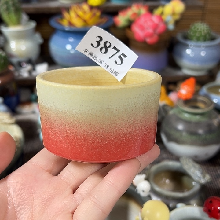 口6高4 ……未满30运费到付