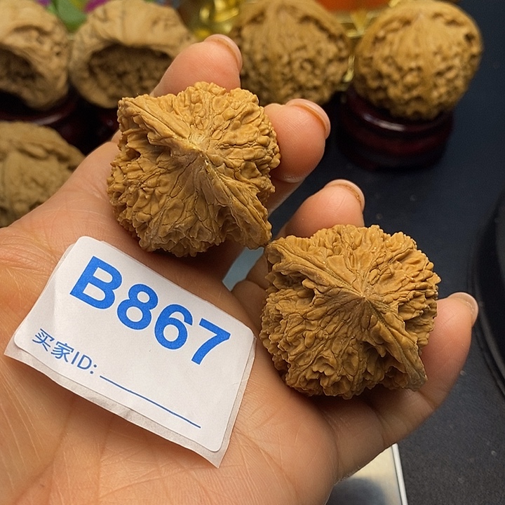 ****得核桃满天星4.2，满天星