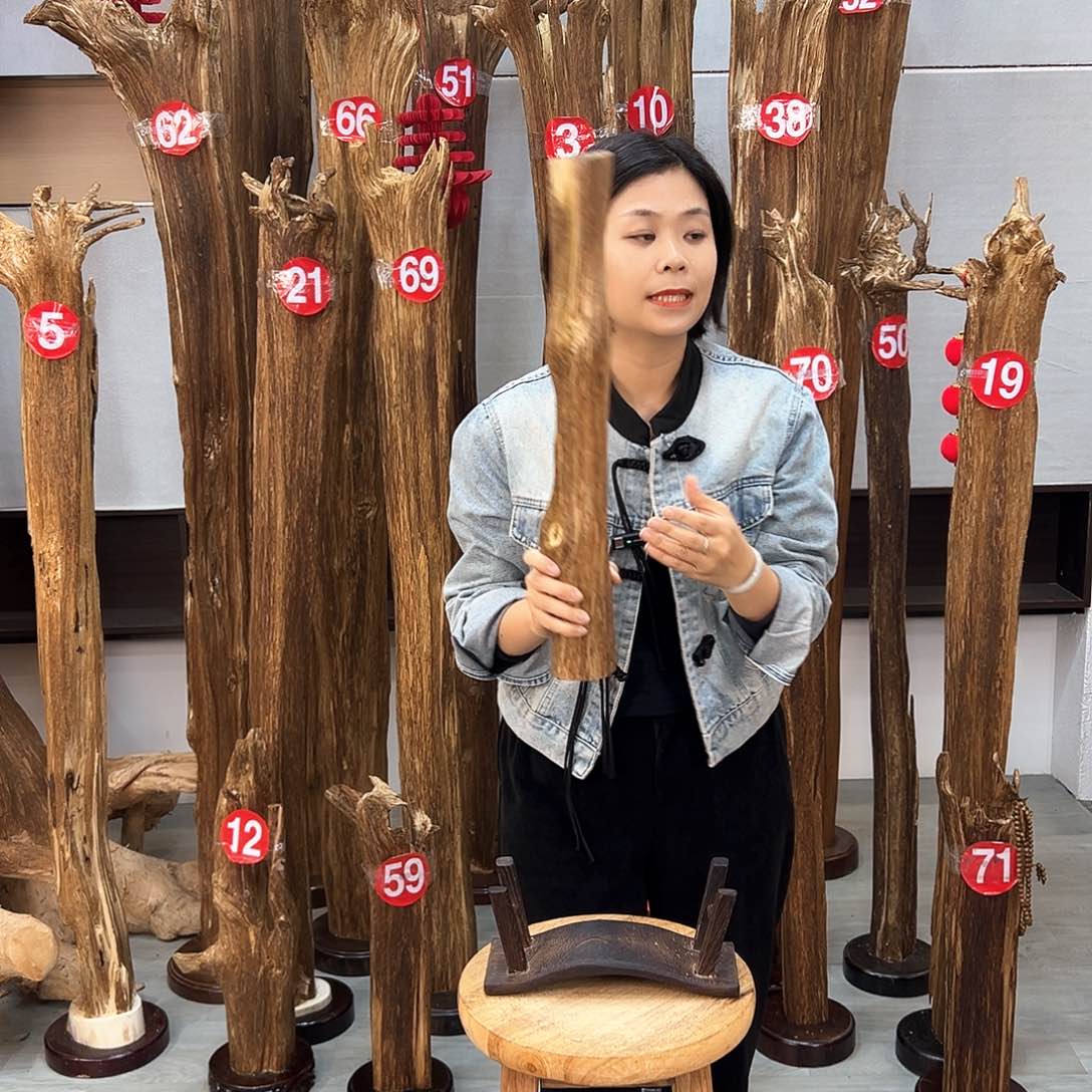 沉香摆件海南沉香摆件