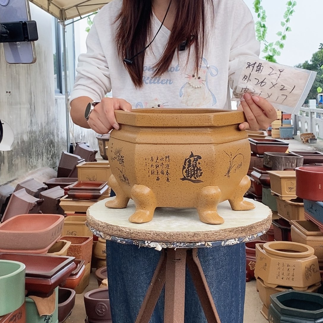 紫砂花盆紫砂花盆