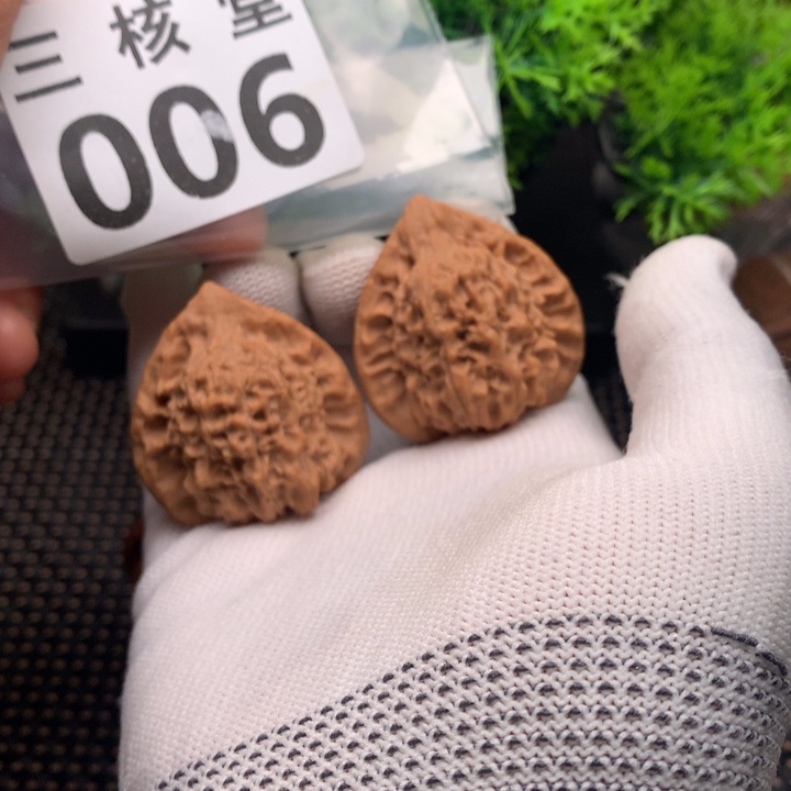 文玩核桃把件朱雀39