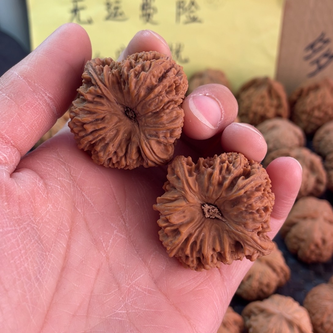 房***猴南疆。  39尺。  