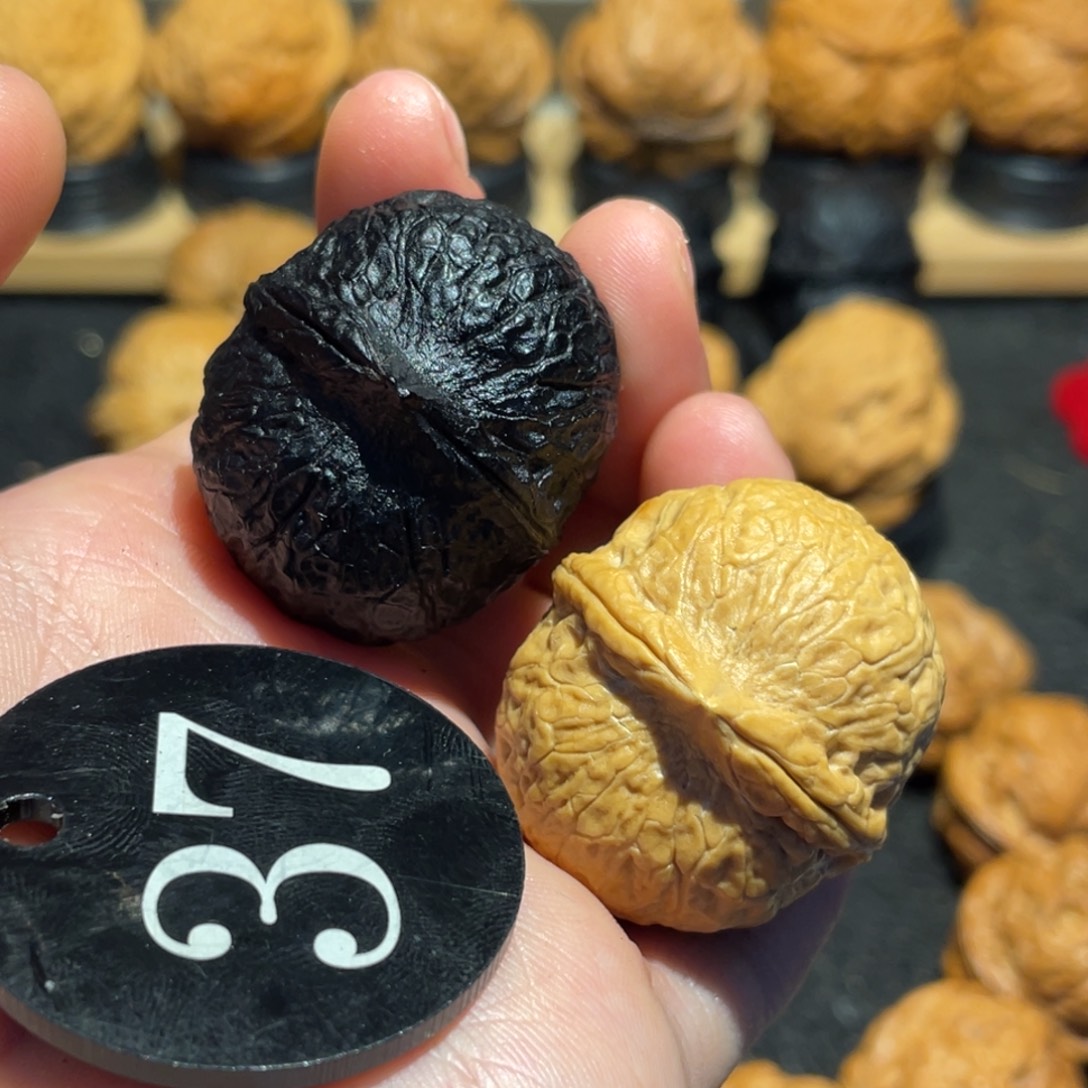 龙转乾坤双色珠33。   