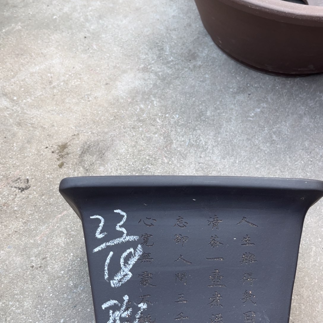 紫砂花盆盆景艺术