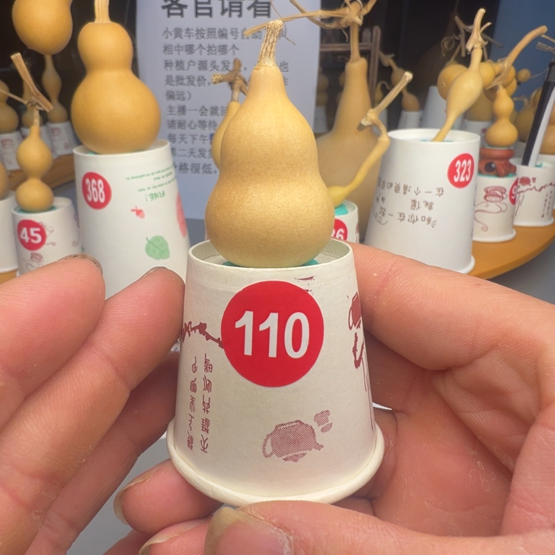 闪电购自助下单编号110