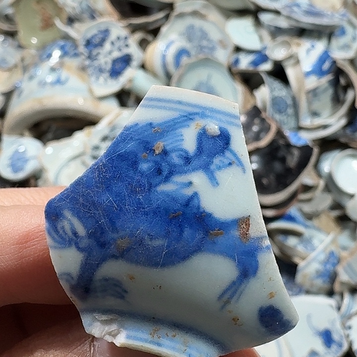 奥***l瓷片瓷片标本，顺丰包邮