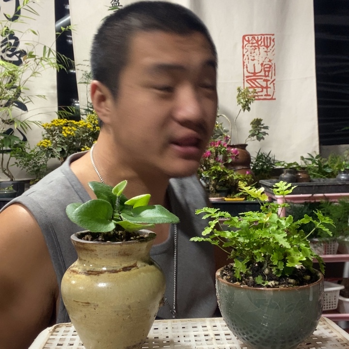 昕***爱以实际为准盆景绿植盆栽91