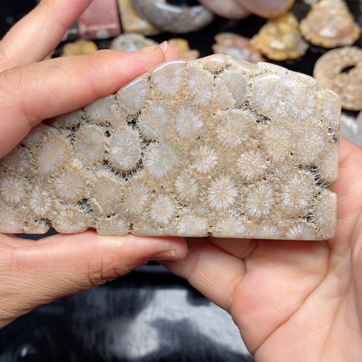 硅化珊瑚（珊瑚玉）手镯未镶嵌