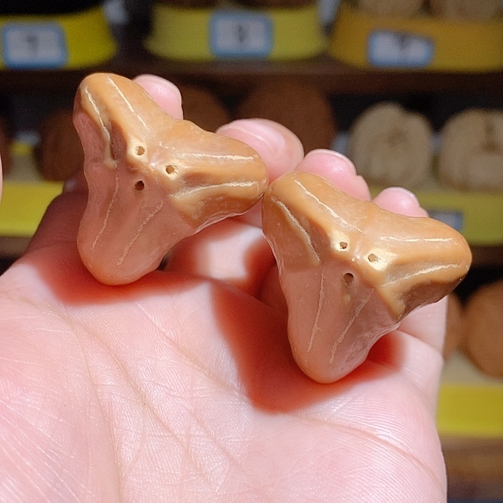 野生三花大橄榄核