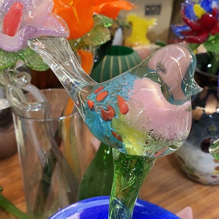 夜光鸟高约42厘米