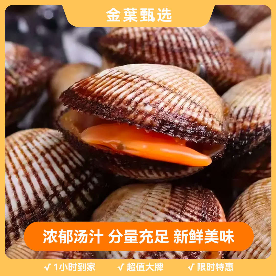 鲜活大赤贝一斤（10-15头）18