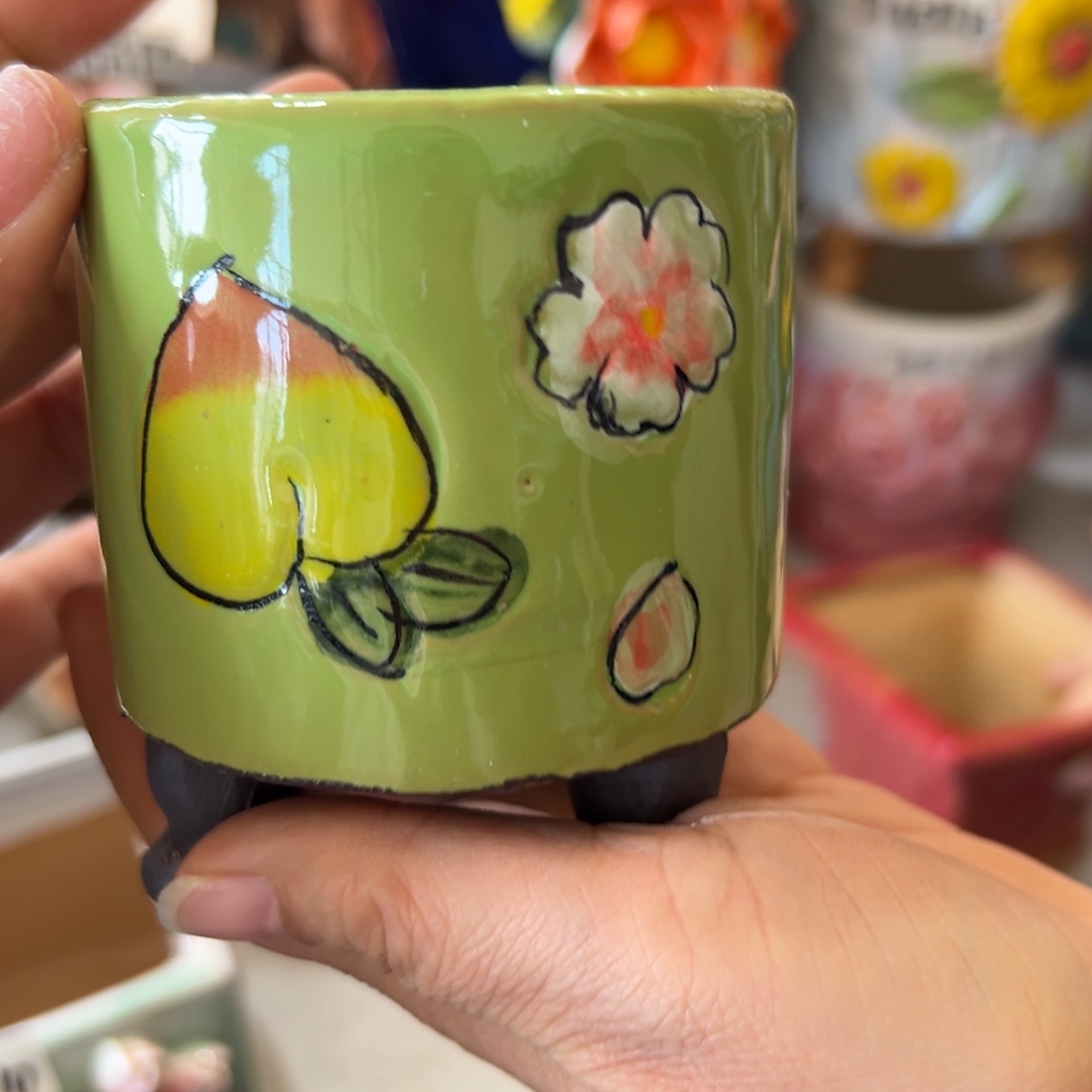 花盆满20米发货，爱退款拉黑瑕疵286