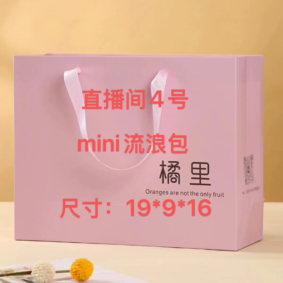 YA【4号】2025新款百搭时尚女包  mini流浪包