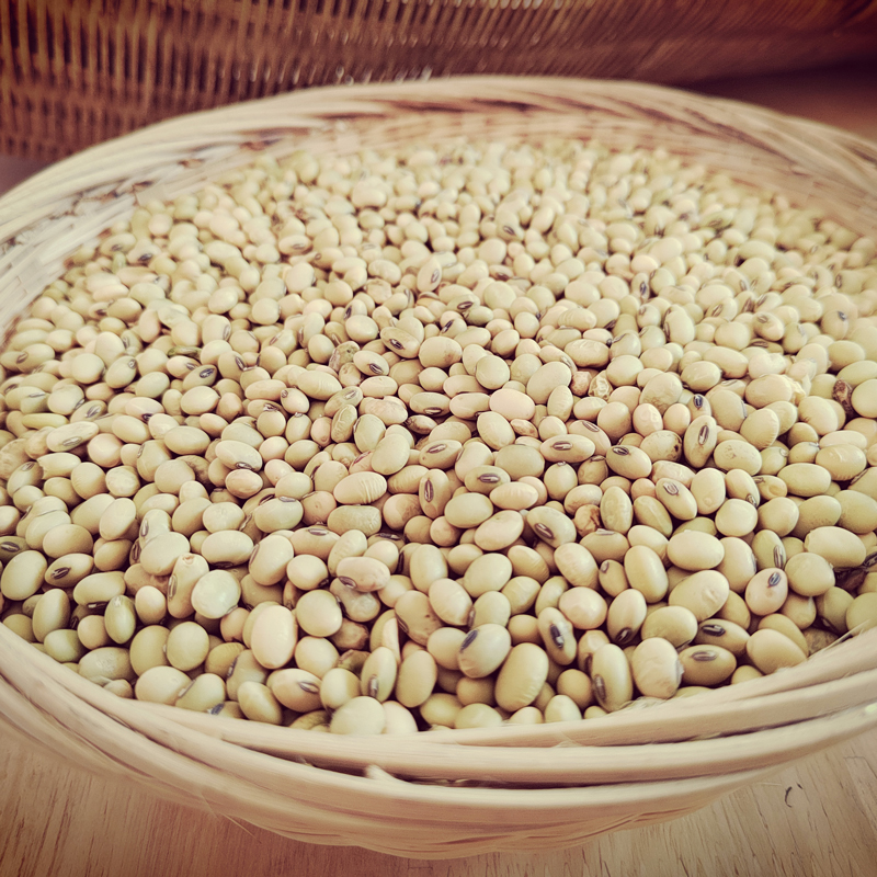 湖南新宁农家自种土黄豆五谷杂粮老品种黄豆新豆打豆浆粗粮