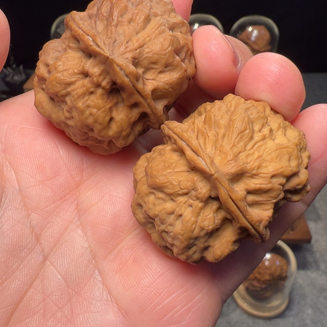 文玩核桃把件火凤凰41mm