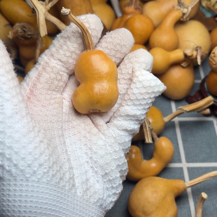 嗨***盹葫芦霉66666666666