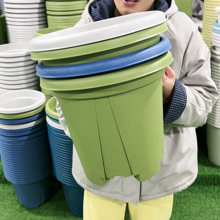 正品青山口32高28果绿色无托5只