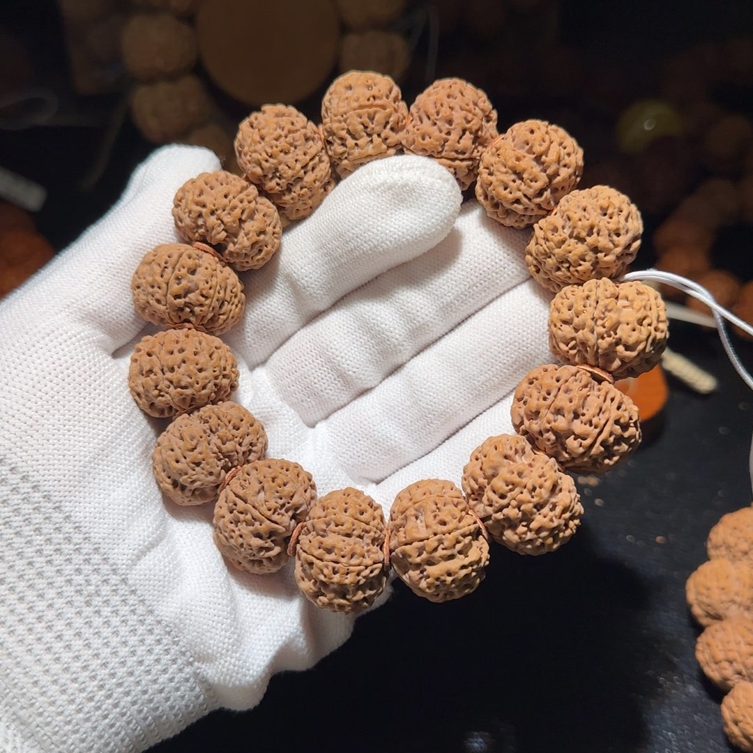 吊坠金刚菩提24➕七瓣满肉蜂窝双龙