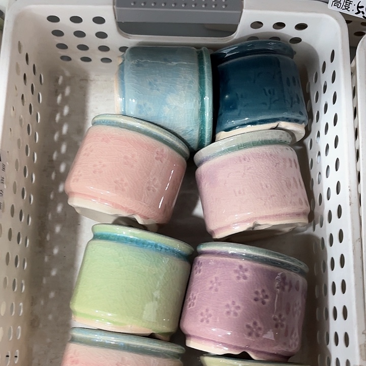 红陶发6个，非完美，介意慎拍。