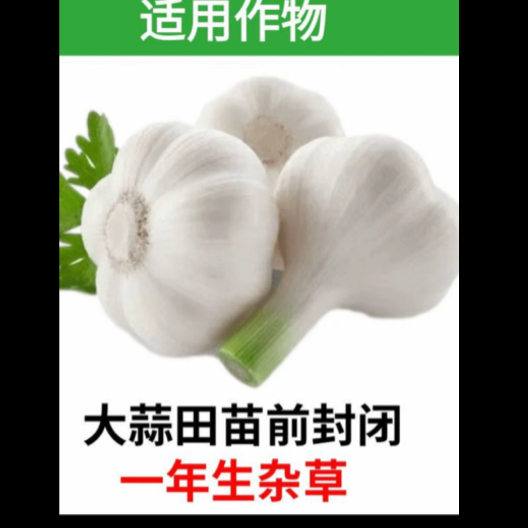 大蒜苗前封闭除草方案一瓶一亩地配两桶水