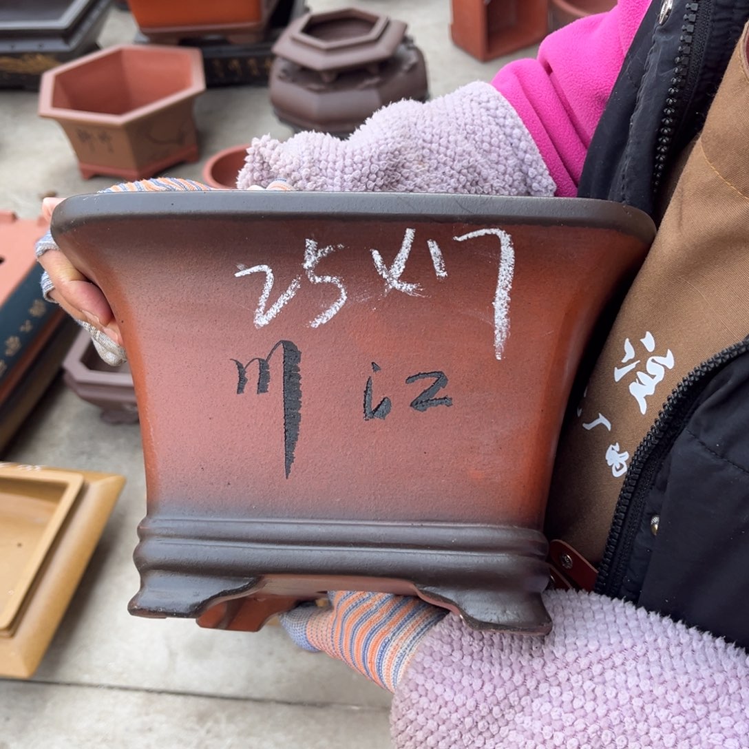 紫砂花盆盆景艺术