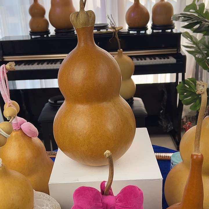 小***郭大叶紫檀（黑酸枝木类）