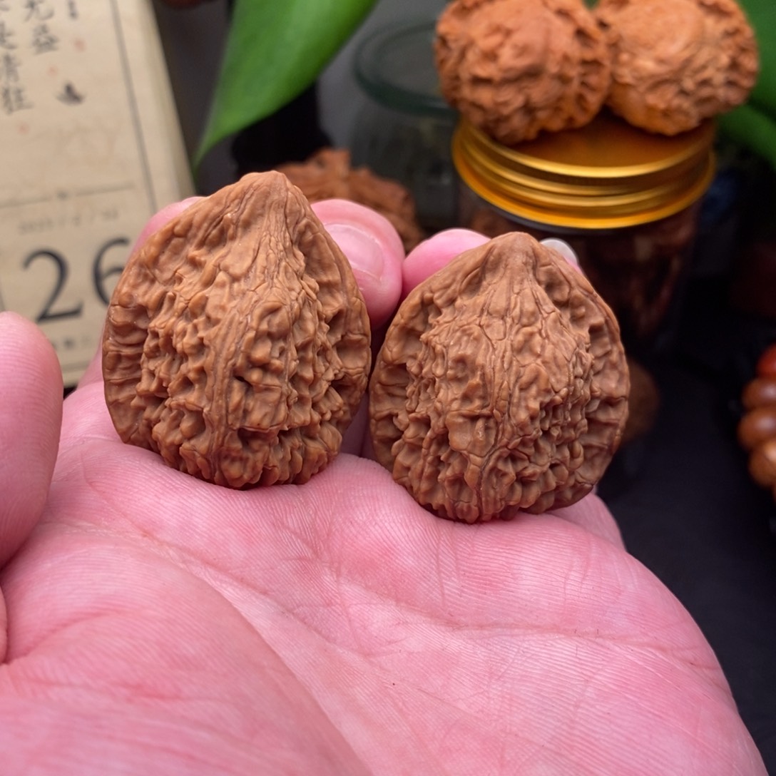 核桃把件35尺 白茶塔尖