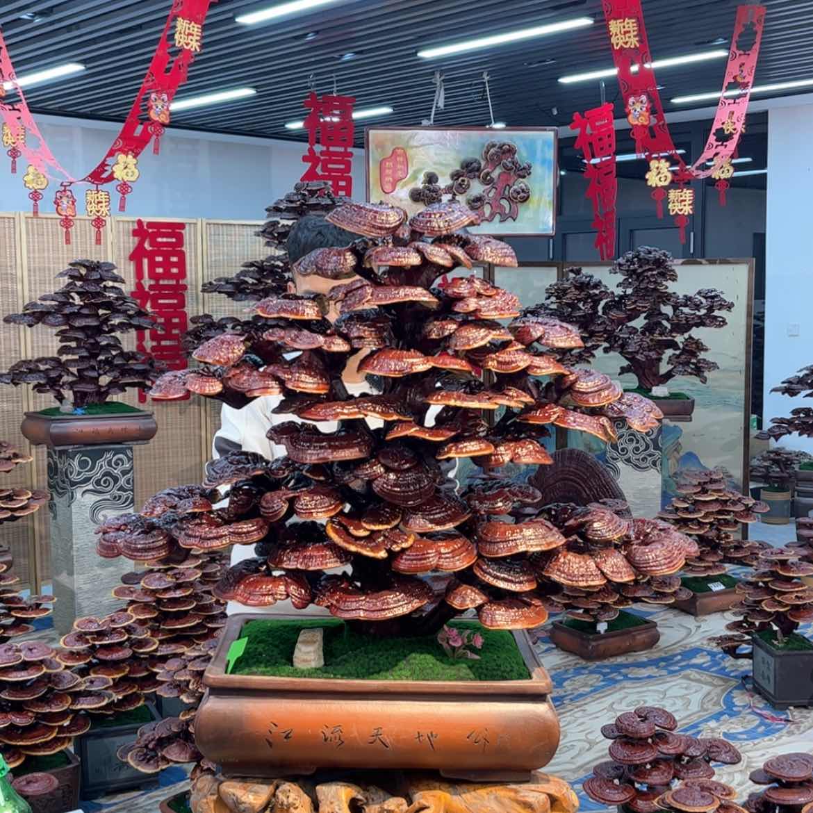 【闪购商品】58888