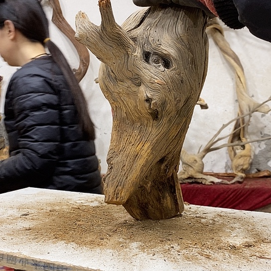 光***错柏木我们都是好孩子