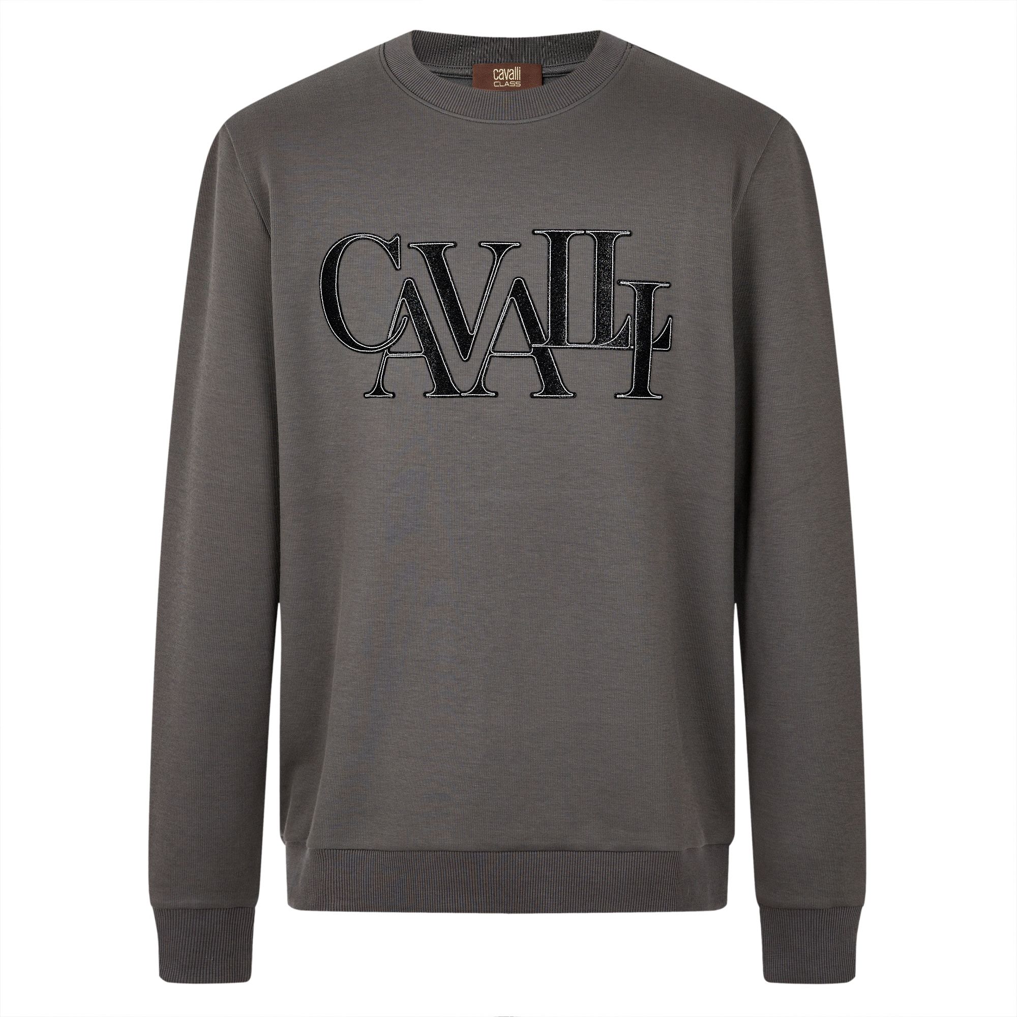 Cavalli Class25秋季刺绣贴布时尚卫衣休闲圆领上衣RWC345
