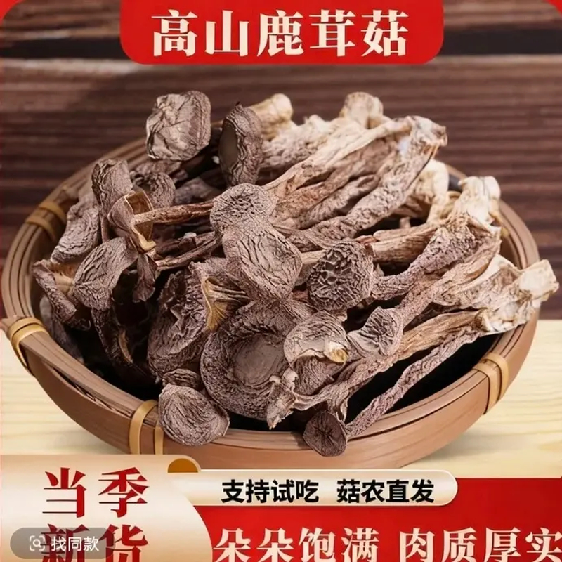 【晓丽代卖】高山鹿茸菇农家干货炒菜煲汤鲜嫩脱水蔬菜试吃装