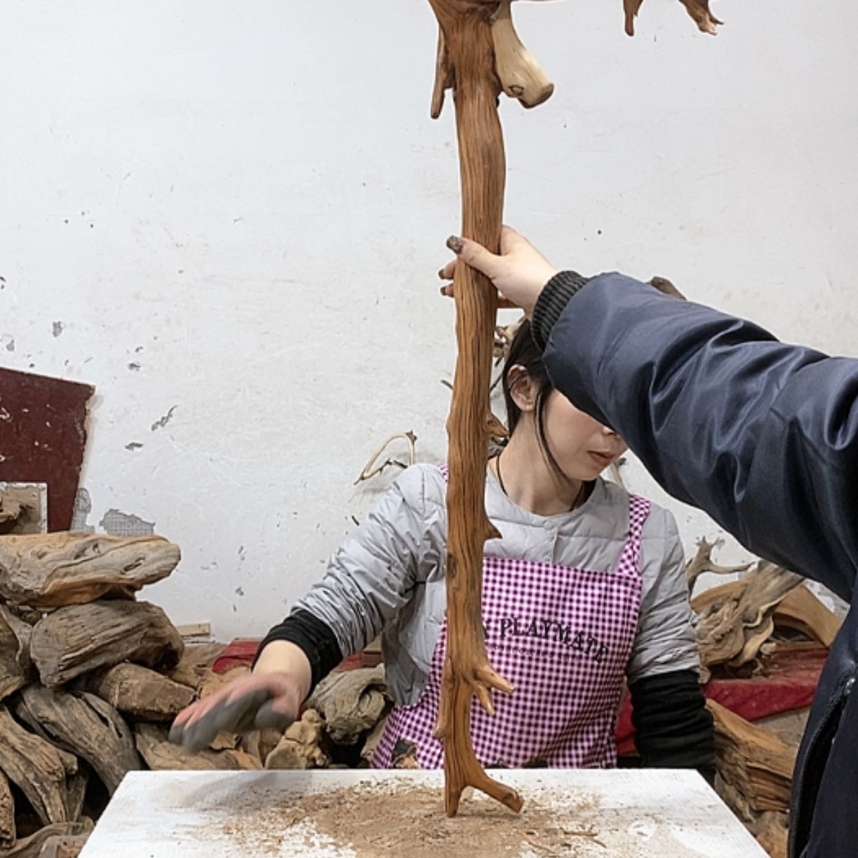 【闪购商品】柏木不**心我们都是好孩子