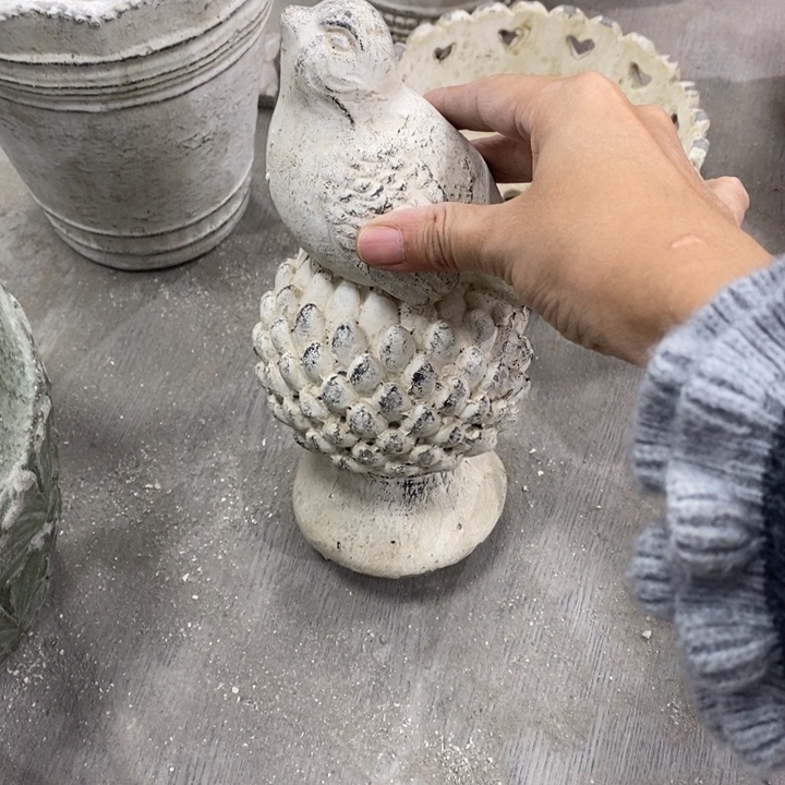 花盆55959959592929299