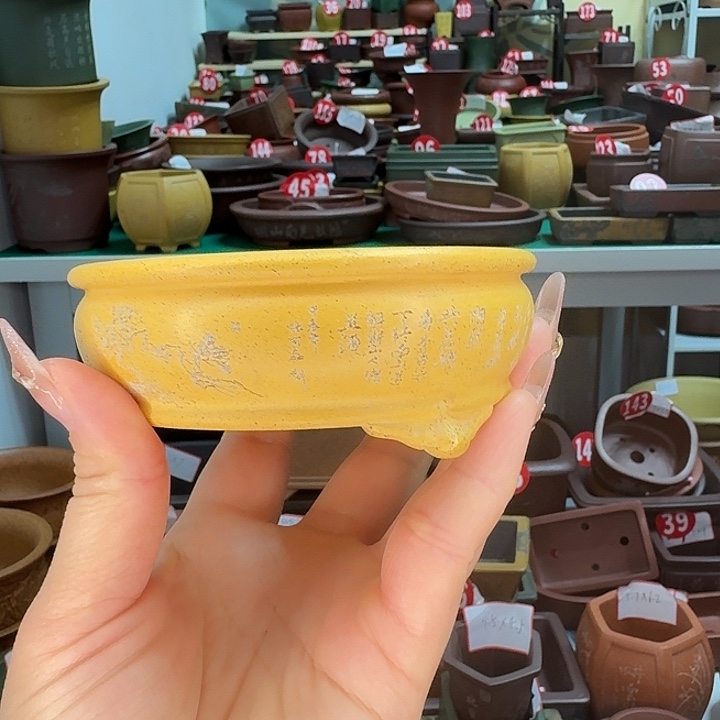 花盆紫砂精致小花盆