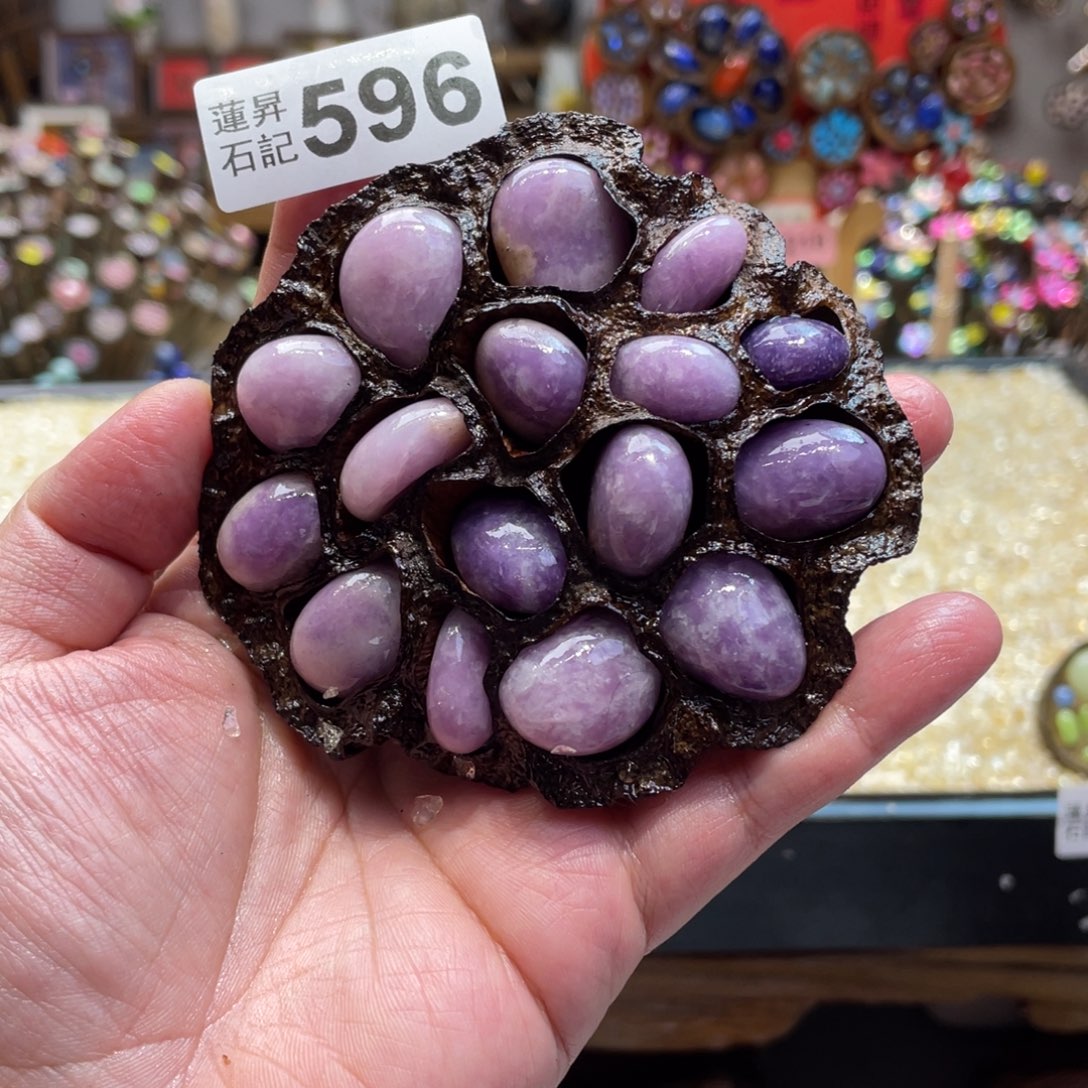 核桃木/黑胡桃（胡桃木）596