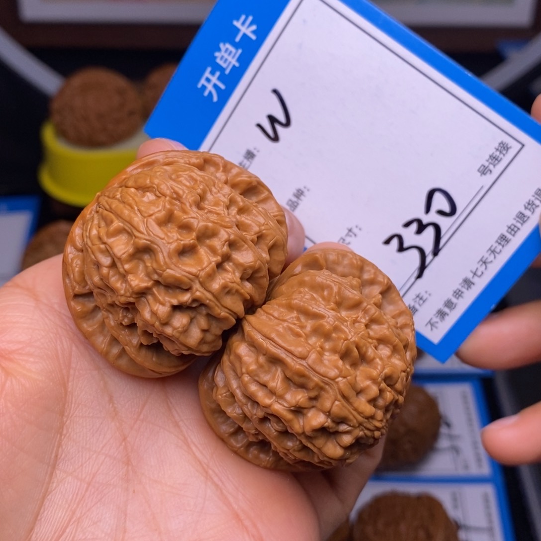 文玩核桃把件43白狮子330号