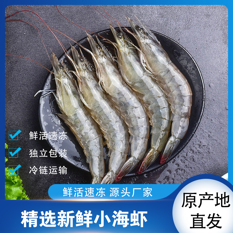 鲍总管东山岛海捕虾60只左右/斤450g/盒速冻小海虾冷链直发新鲜
