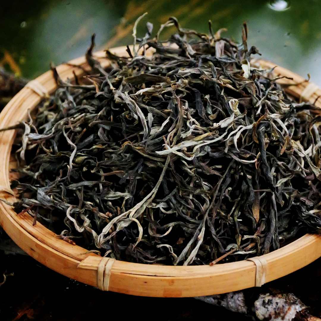 2025年莽枝古树纯料 普洱茶生茶1kg散茶  定制压饼  先发茶样